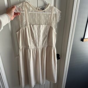 Elegant Lace Overlay Dress